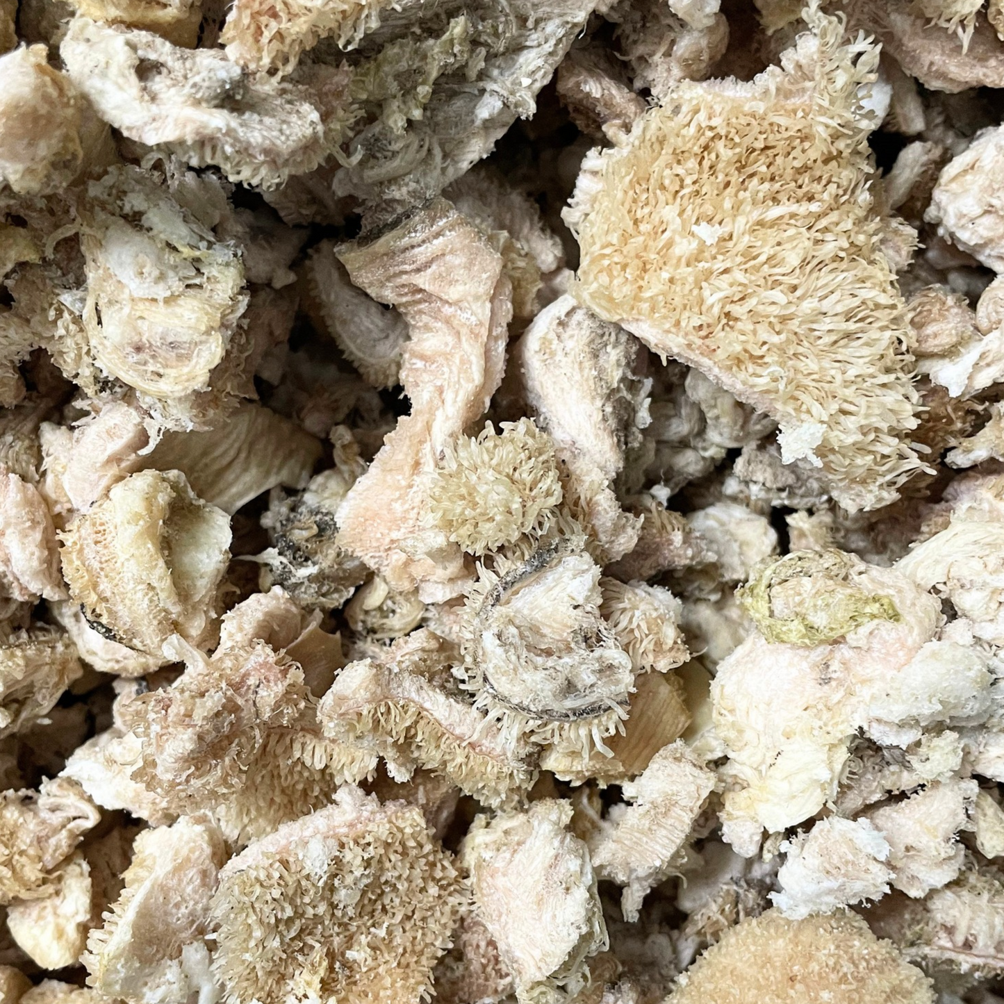 Freeze Dried Beef Tripe