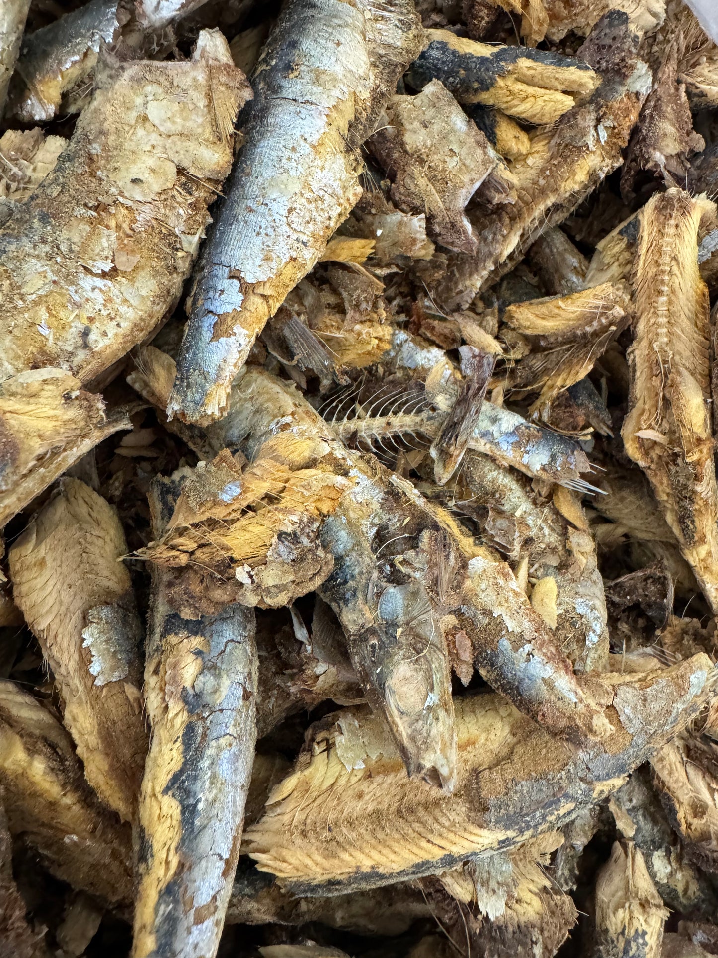 Freeze Dried Crumbly Sardines